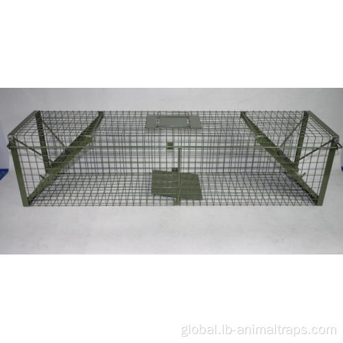 Live Animal Cage Traps PVC Live Badger Cage Trap Factory